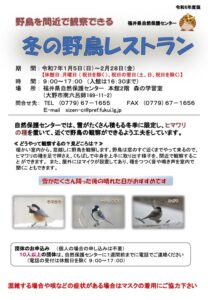 野鳥を間近で観察できる「冬の野鳥レストラン」